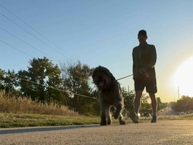 man walking a dog