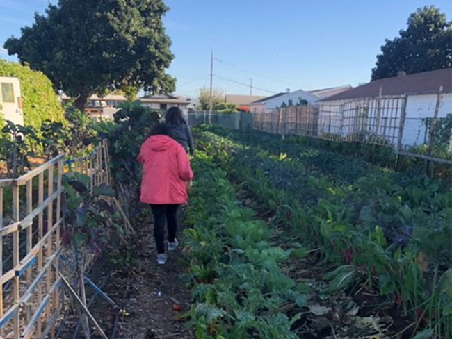 2 women walking through a vegetable garden