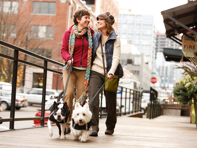 2 women smiling and walking small dogs