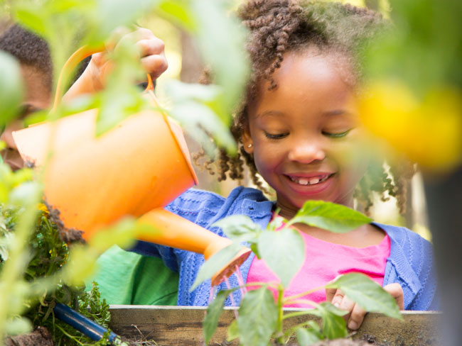 young girl planting small vegetable plant