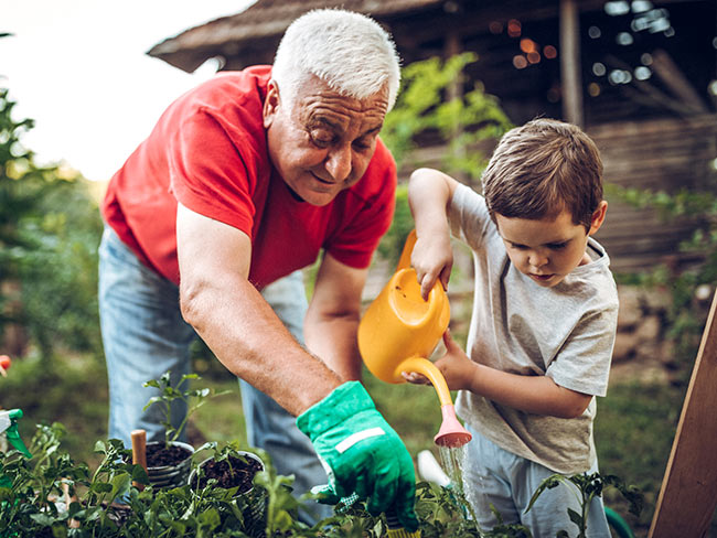 Grandfather and grandson in garden