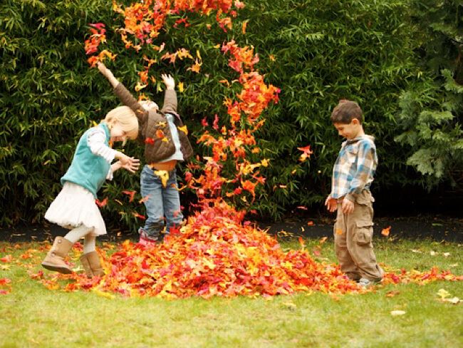 Three children playing in a pile of red, yellow, and orange leaves.