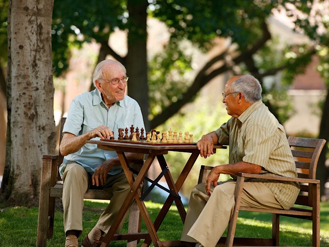 Older adult men sit outside under the shade of trees and play a game of chess.