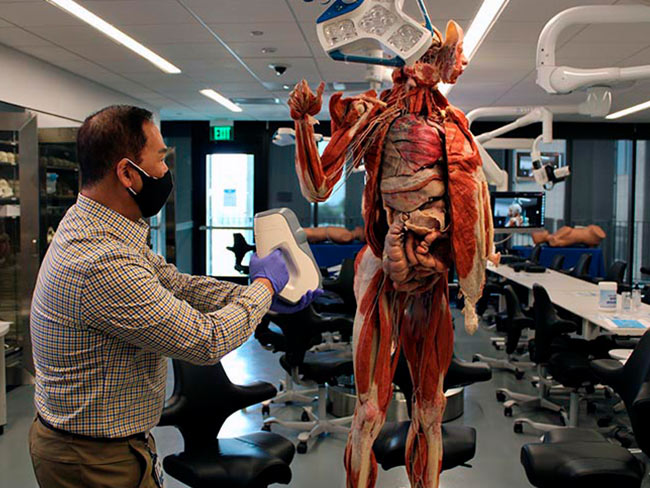 A consultant creates a 3D scan of a preserved cadaver