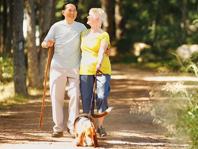 senior couple walking a dog in the woods