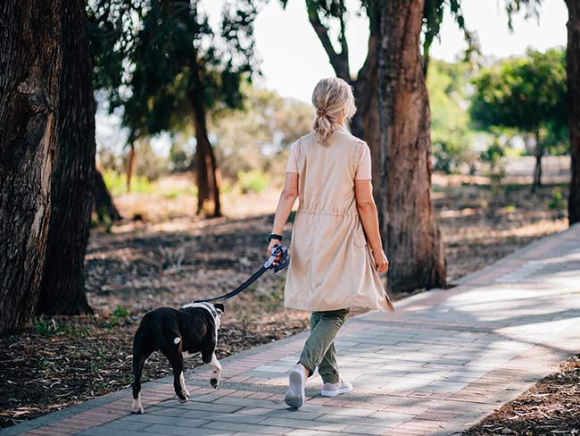 Woman walking dog outdoors on a path
