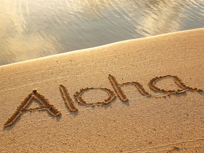 beach with the word aloha written in the sand