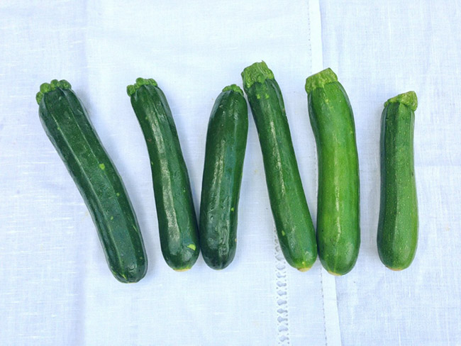 6 fresh zucchinis lined up in a row.